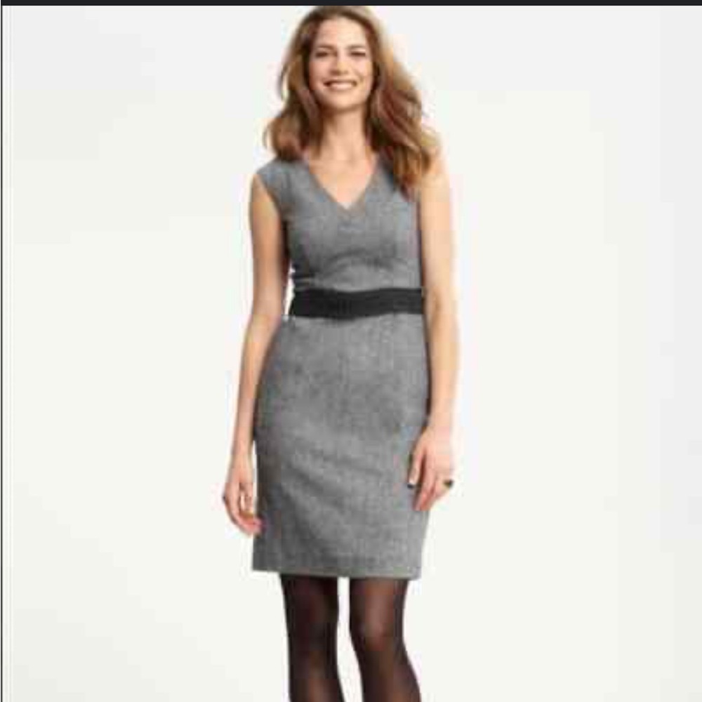 Banana Republic Lined Polyester & Wool Blend Midi Dress, Size 12